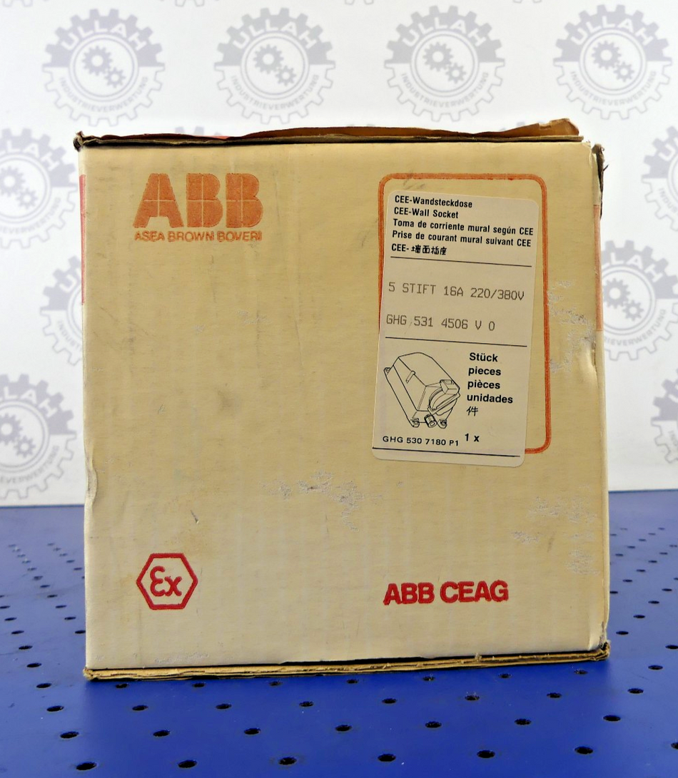 ABB GHG 531 4506 V 0 Wandsteckdose