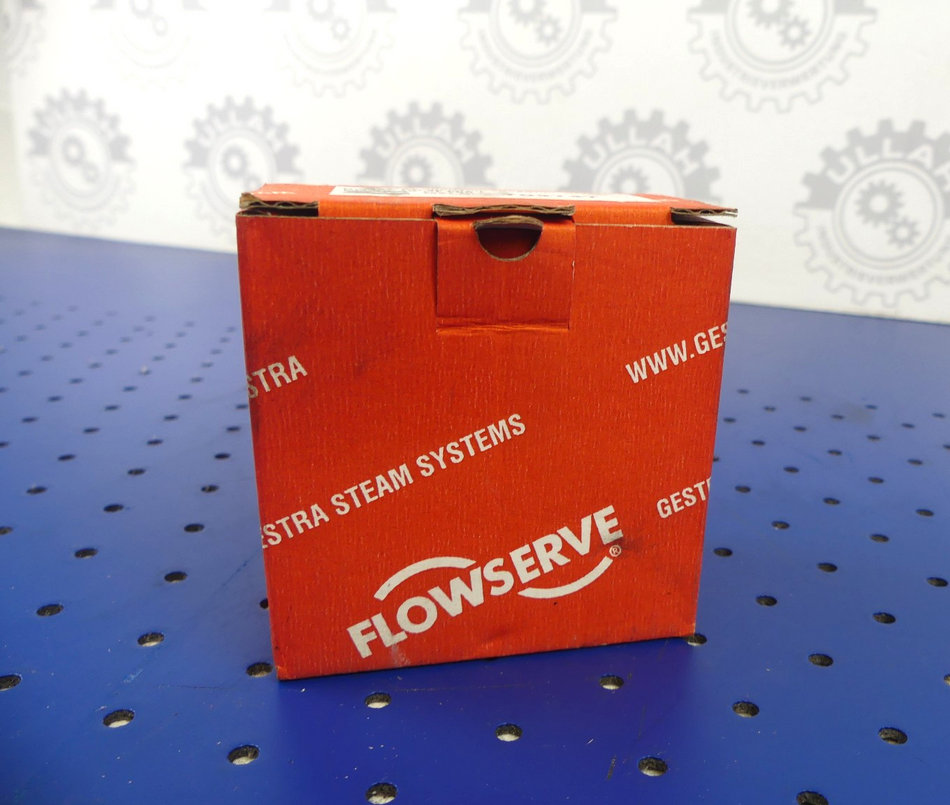 Flowserve 702747 Rückschlagventil RK16A DN20 3/4