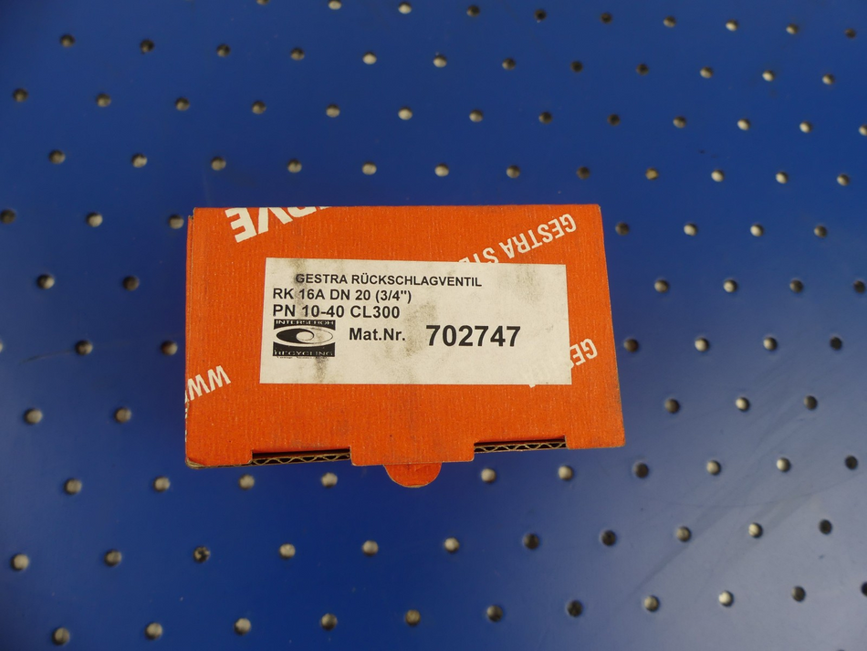 Flowserve 702747 Rückschlagventil RK16A DN20 3/4