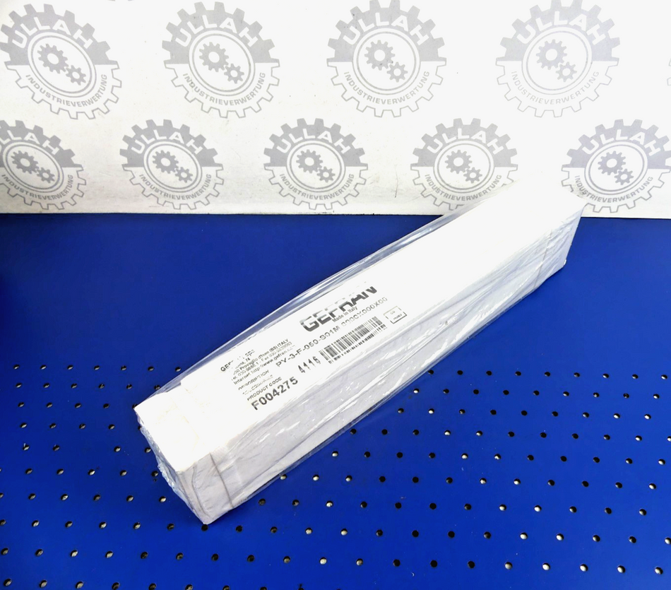 GEFRAN PY-3-F-050-S01M 0000X000X00