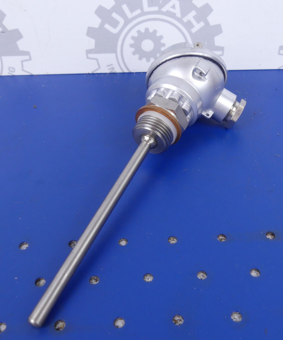 Wika PT100 2L Transmitter