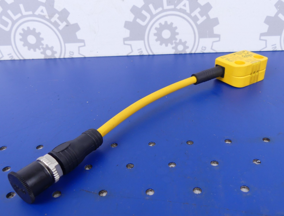 PILZ PSEN cs3.1 M12/8-0,15m 541059