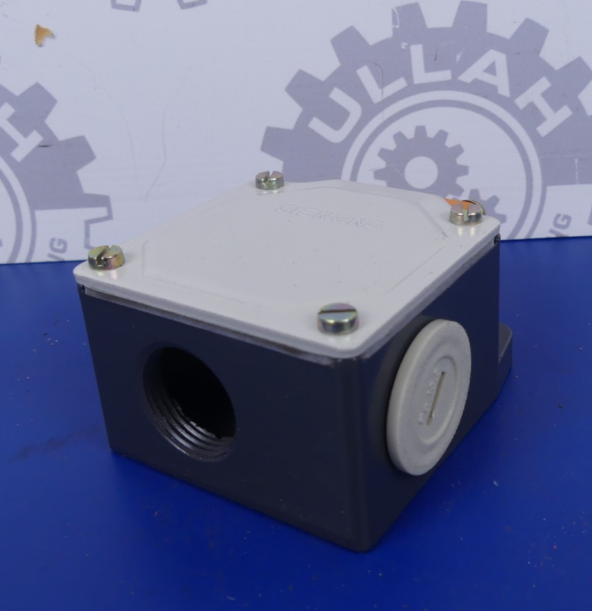 Siemens 3SE3 100-1 Taster