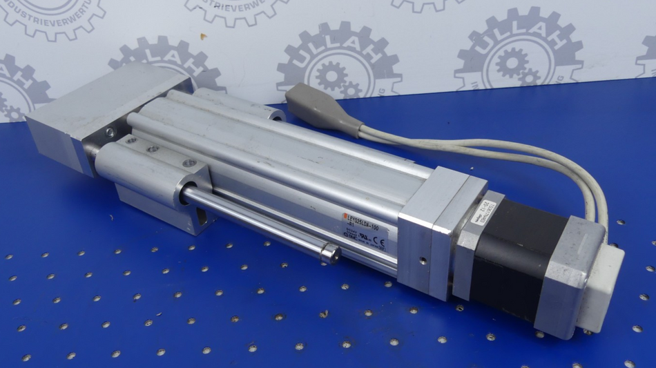 SMC LEYG25LDA-100-R1+Tamagawa TS3617NA463 Kompaktschlitten