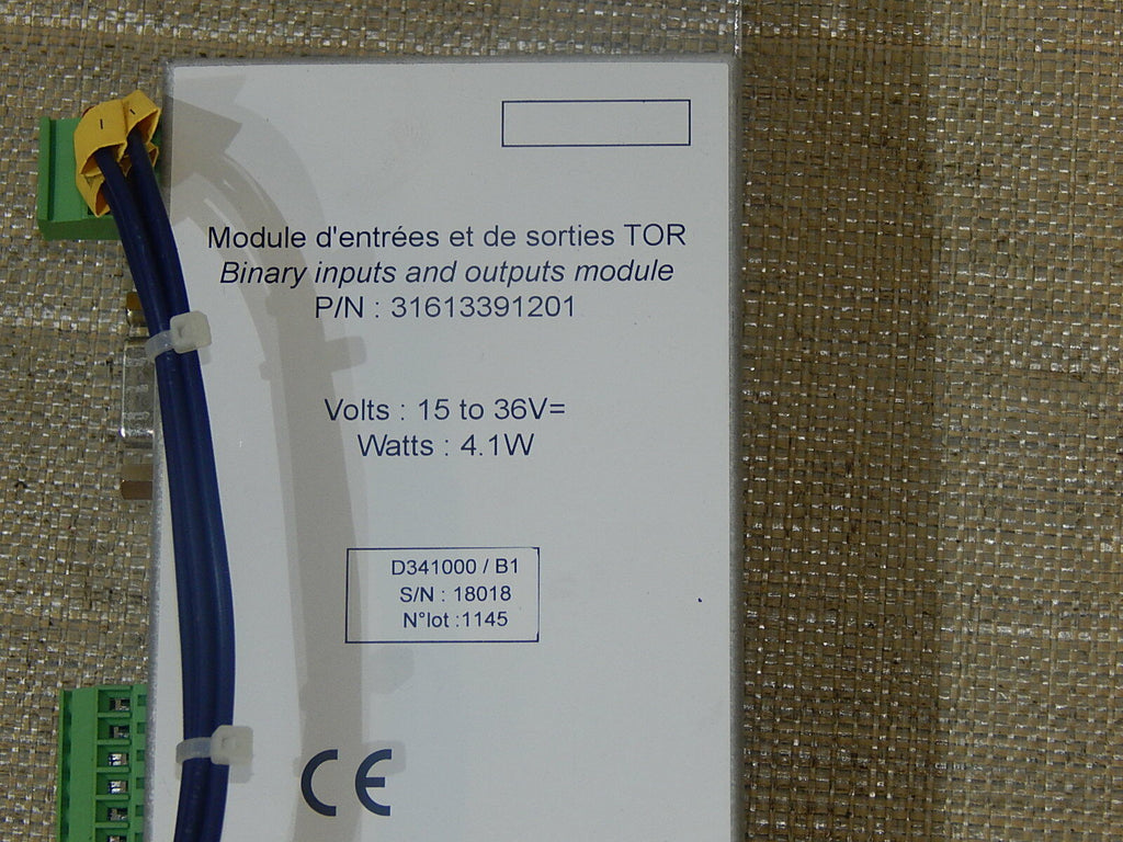 Alimentation Binary input & output module P/N:31613391201// 101A04 Used