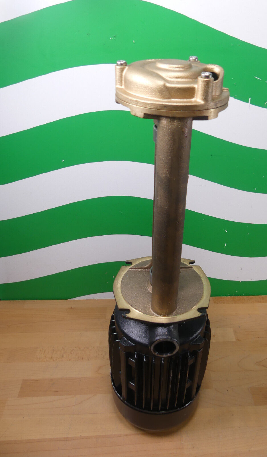 BRINKMANN PUMPS TS 22/250-65B+352 unbenutzter s.Bilder