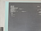 Siemens  Panel 15T 677B/C A5E2713377 E: A02 Used  gekratz Siehe Bilder