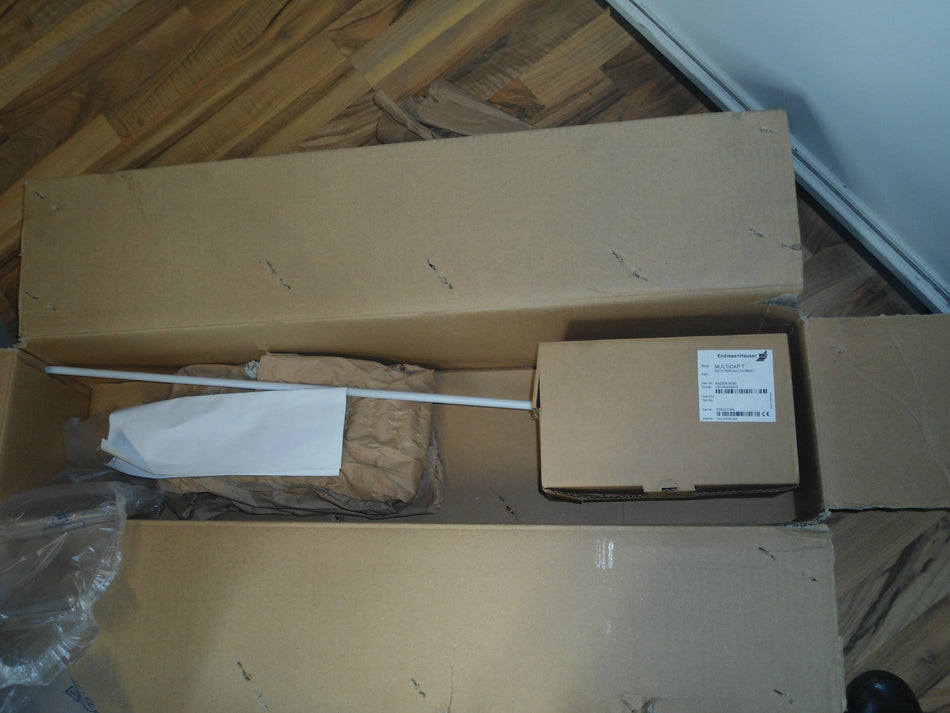 Endress+Hauser Multicap T DC11TEN-AA11A1BK1