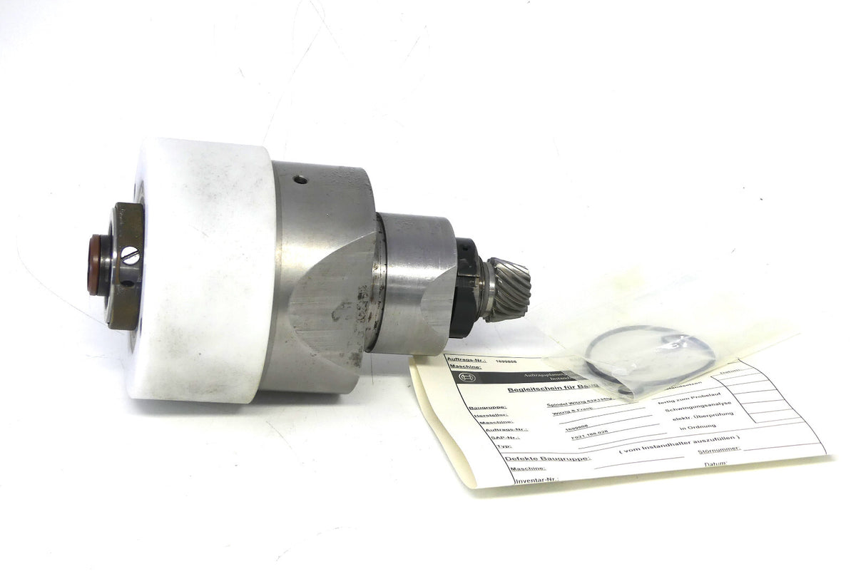 Spindel Witzig 63x135lg