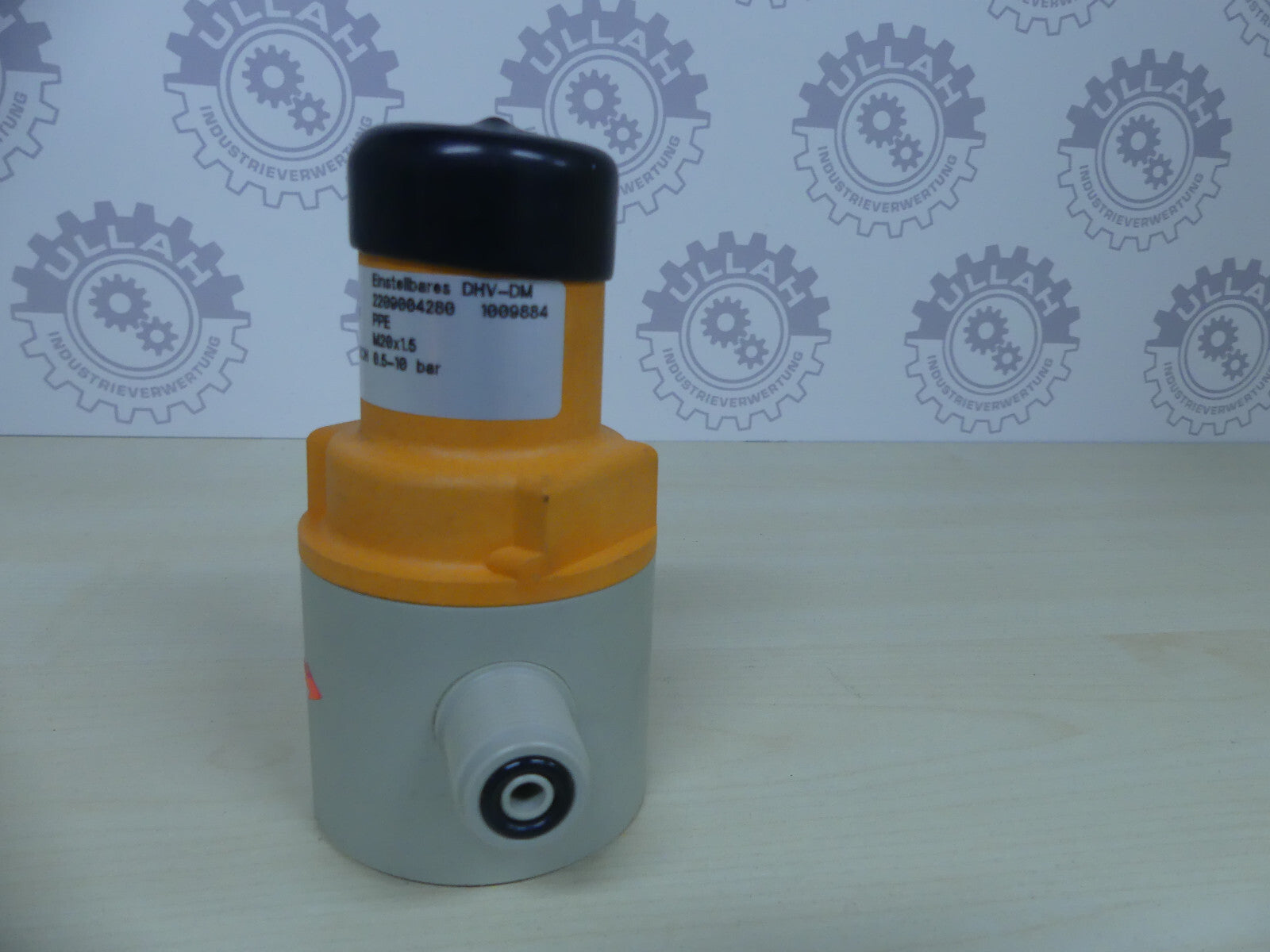 NEU Prominent BPV-DM