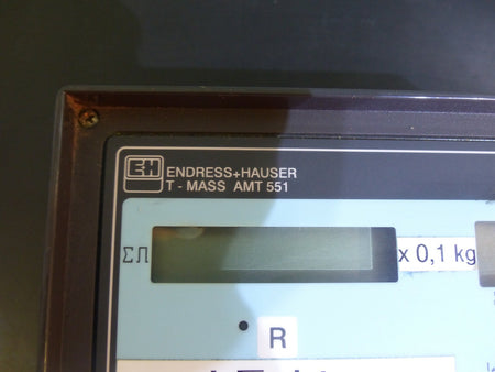 Endress + Hauser AMT551