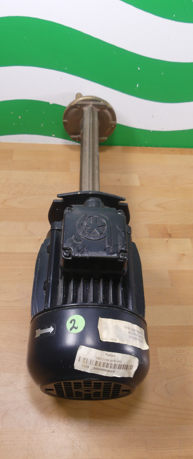 BRINKMANN PUMPS TS 22/250-65B+352 unbenutzter s.Bilder
