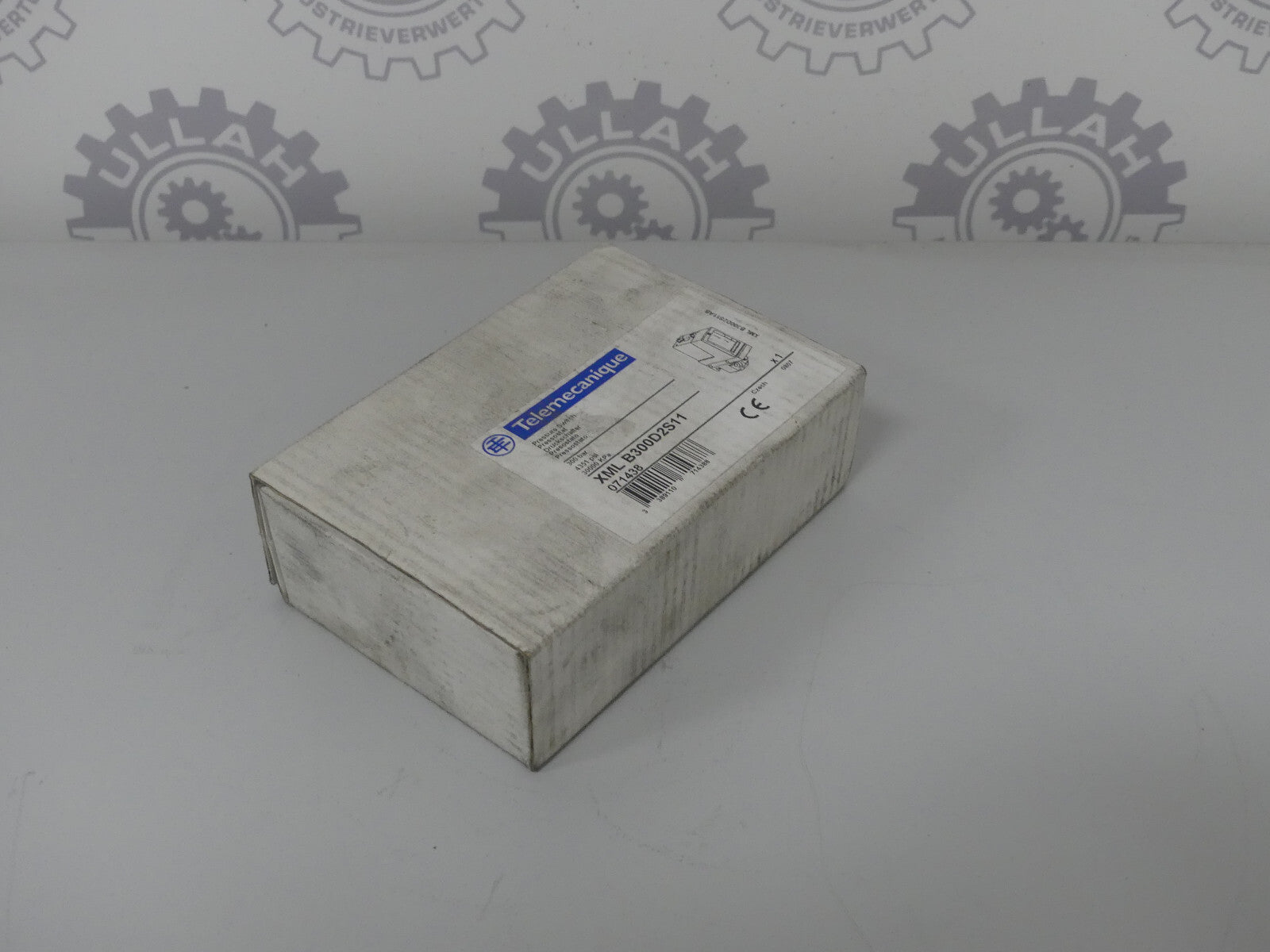 Telemechanique XML B300D2S11