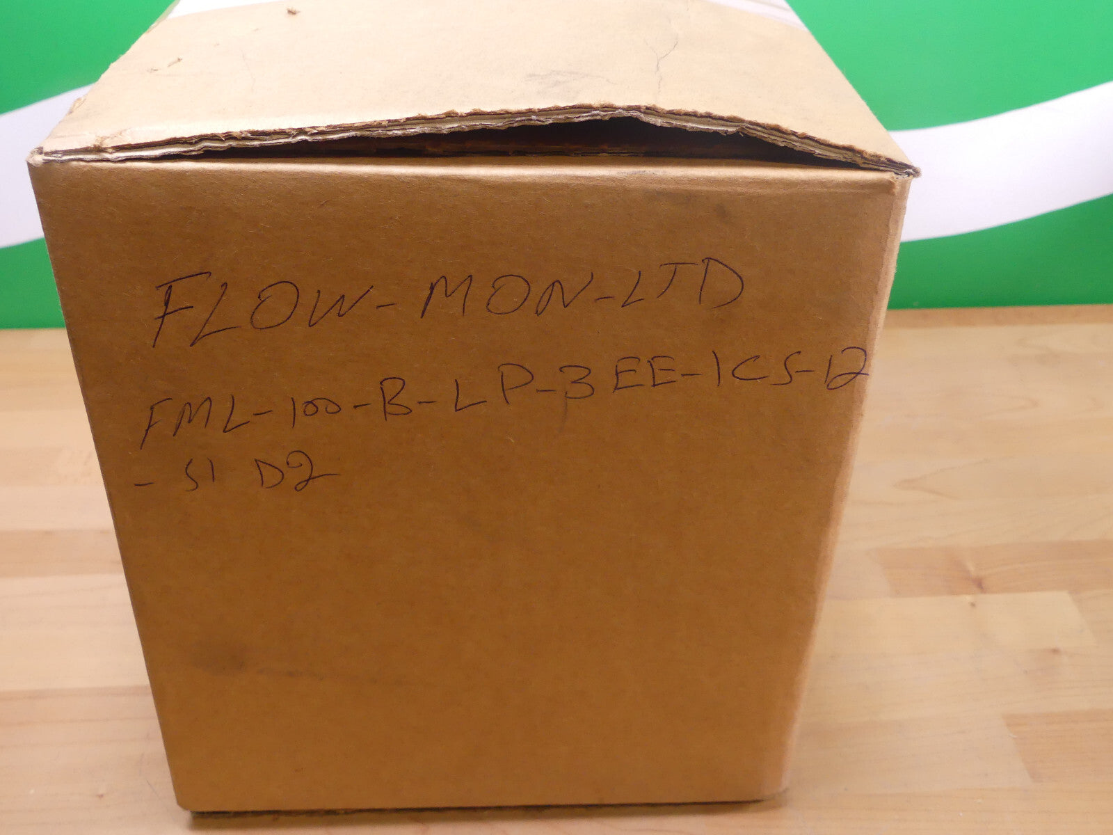 FLOW-MON.LTD FML-100-B-LP-3EE-1CS-12-S1 D2
