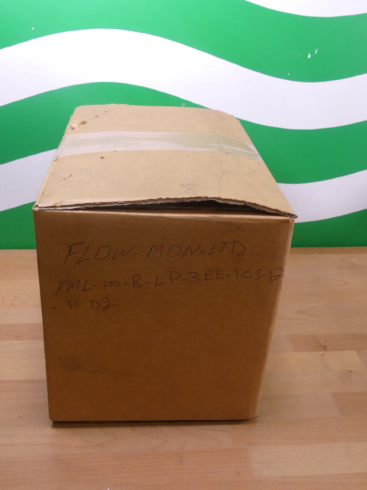 FLOW-MON.LTD FML-100-B-LP-3EE-1CS-12-S1 D2