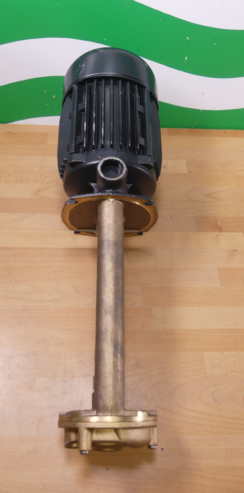 BRINKMANN PUMPS TS 22/250-65B+352 unbenutzter s.Bilder