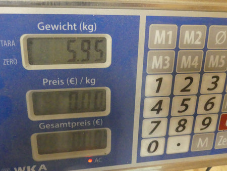 Siemens  1FT6034-1AK71-4EG1-Z, 1FT6 034-1AK71-4EG1-Z s.Bilder s.Bilder