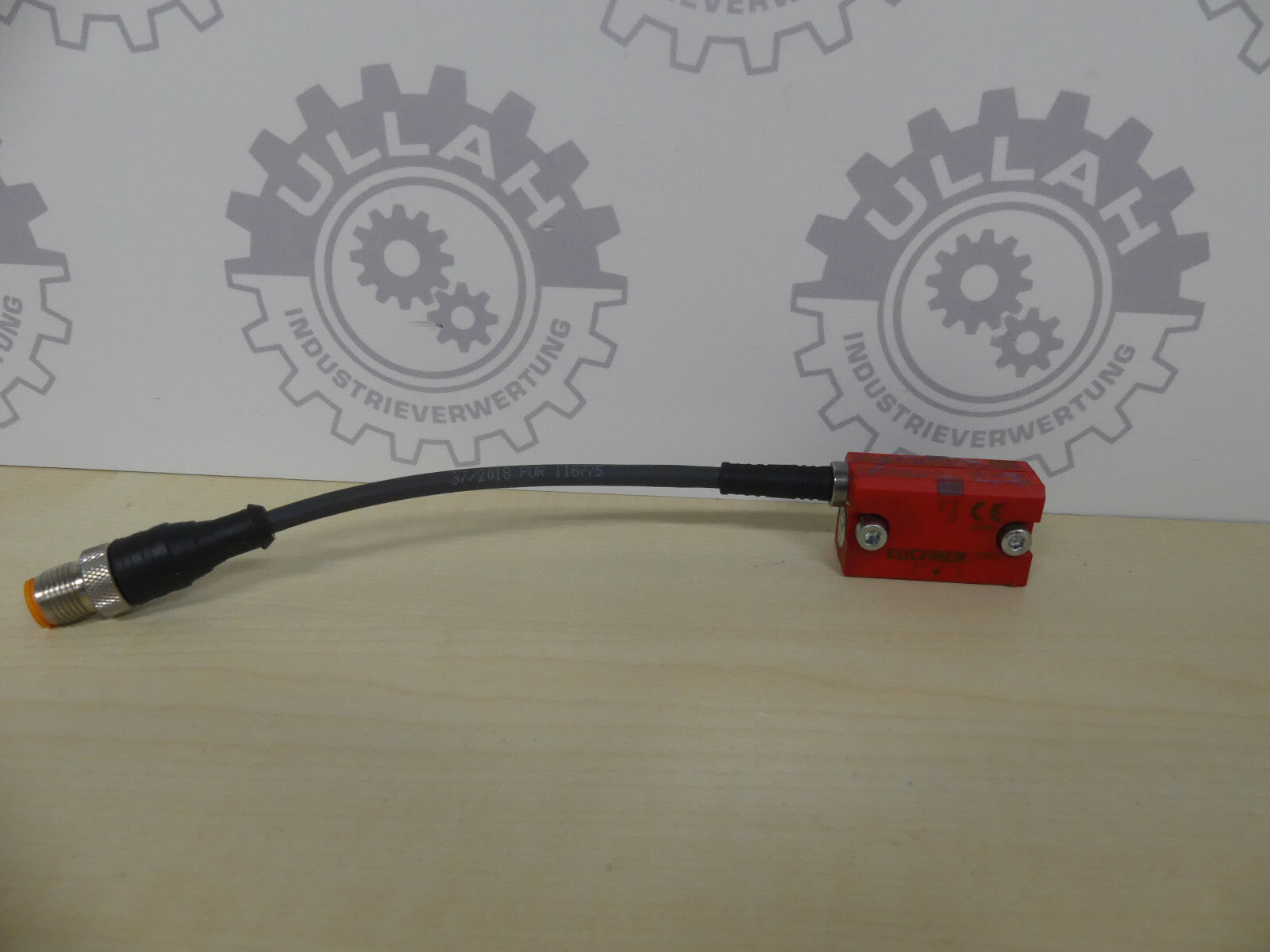 EUCHNER CES-I-AP-M-C04-USI-117323