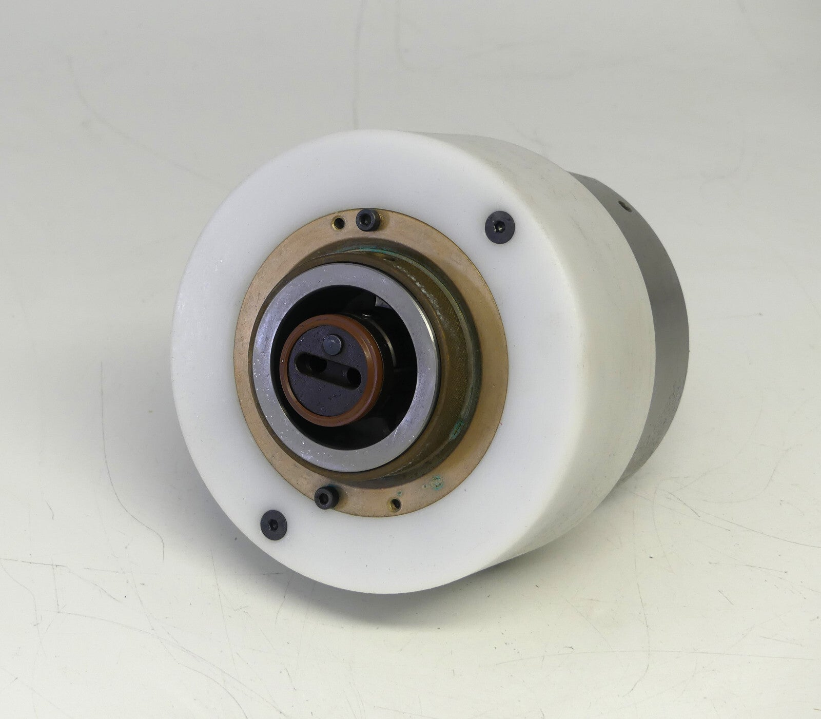 Spindel Witzig 63x135lg