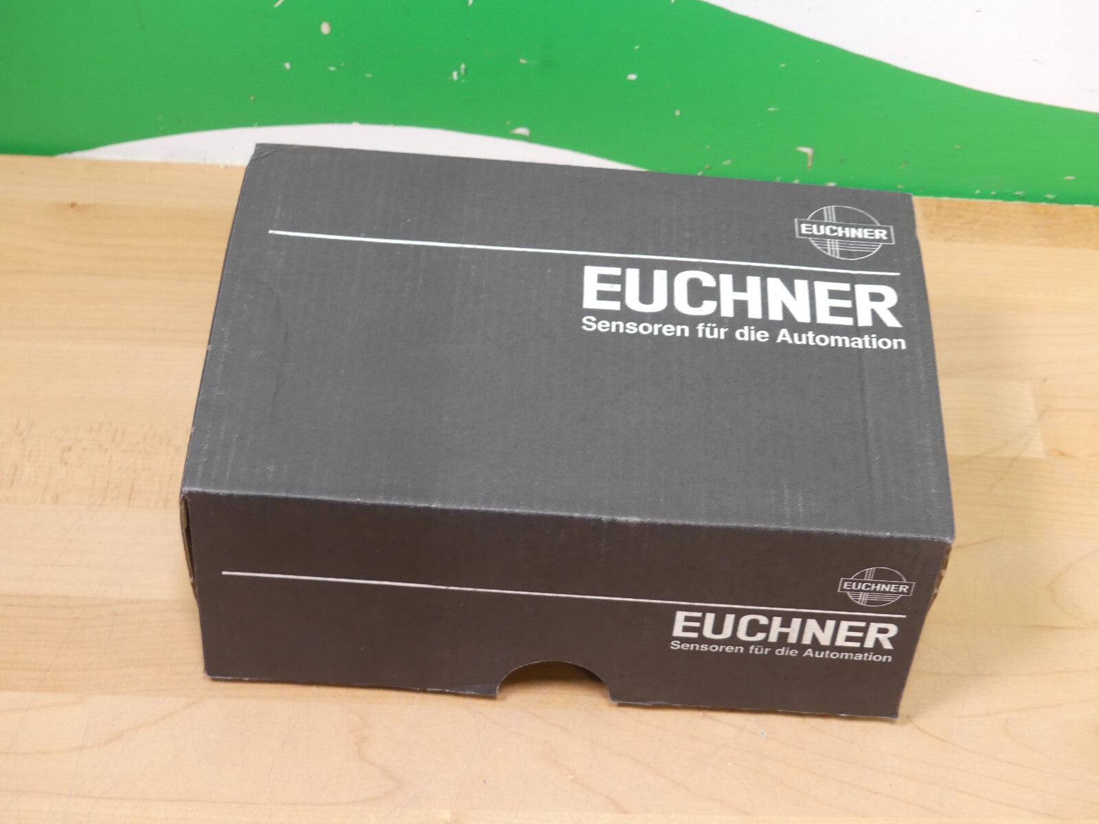 Euchner Sicherheitsschalter TZ2LE024PGVAB safety switch