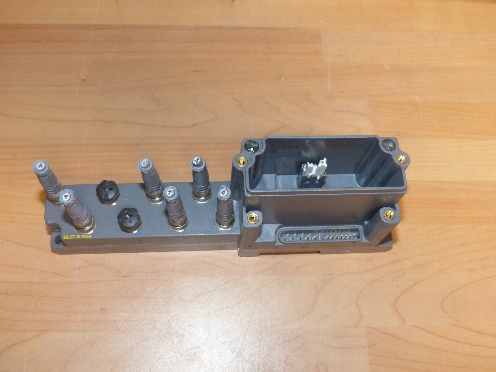 Turck BL67-B-8M8/BL67B8M8